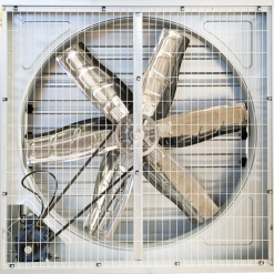 Quạt hút công nghiệp TMG-1000